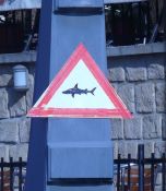 Bacha na žraloky v Čertovce