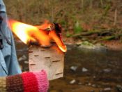 experimentálně ověřeno - březová kůra hoří i mokrá